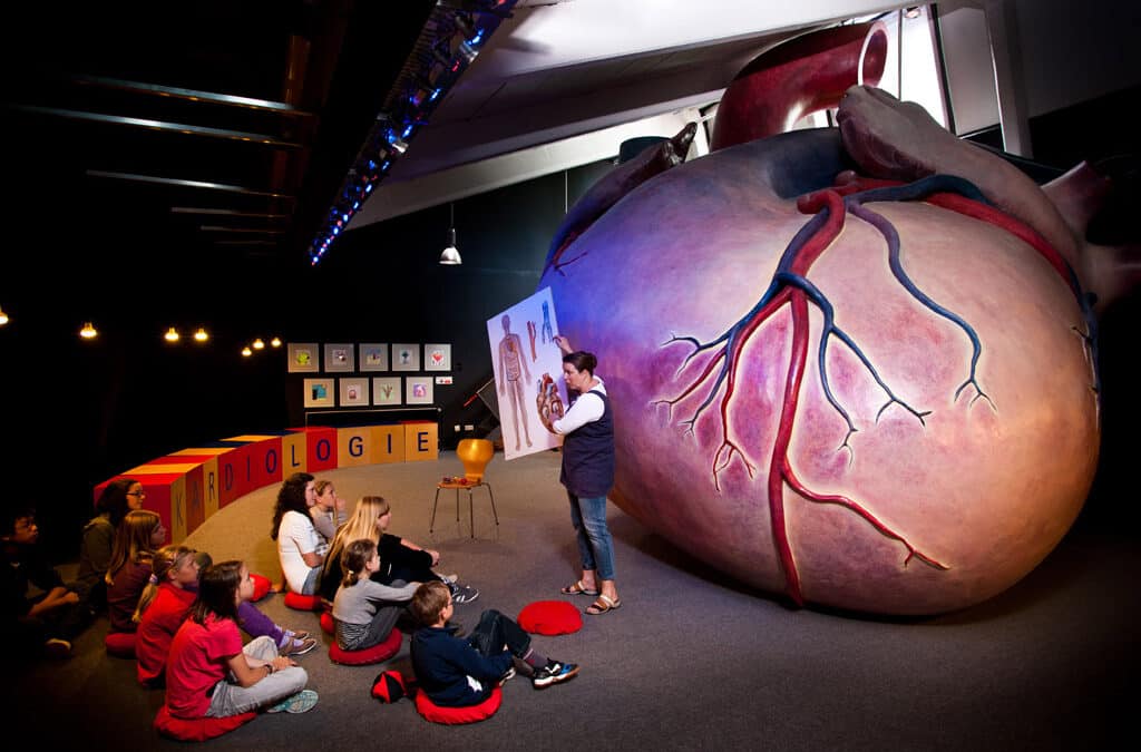 Kinder-Akademie Fulda