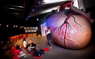 Kinder-Akademie Fulda