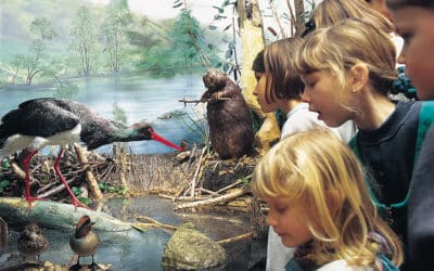 Vonderau Museum mit Planetarium