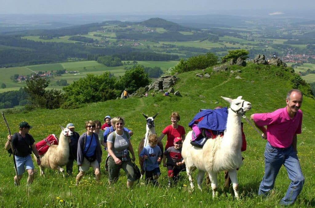 Lamatrekking im Biosphärenreservat Rhön