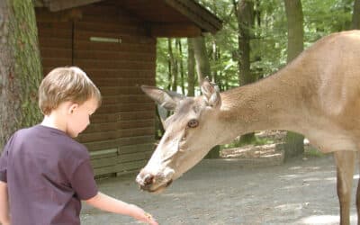 Naturzentrum Wildpark Knüll